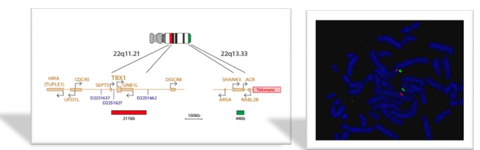 دیتای آموزشی