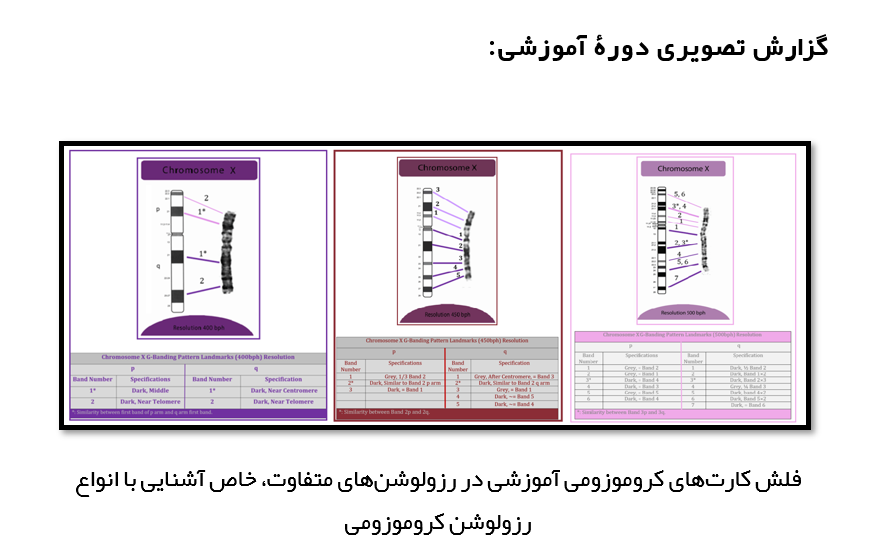 مختصات دوره‌های آموزشی قاب آنالیز کروموزومی