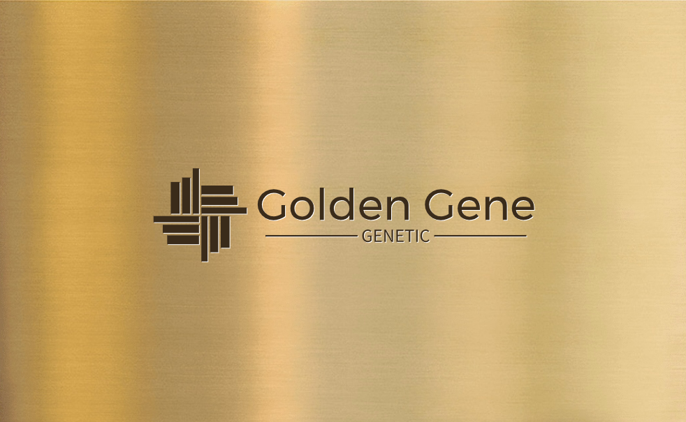 خدمات تخصصی هایپک و فروش دستگاه هایپک