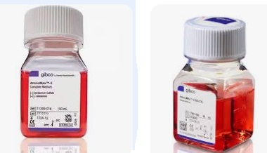 محیط کشت امنیومکس گیبکو، AmnioMAX Complete Medium gibco